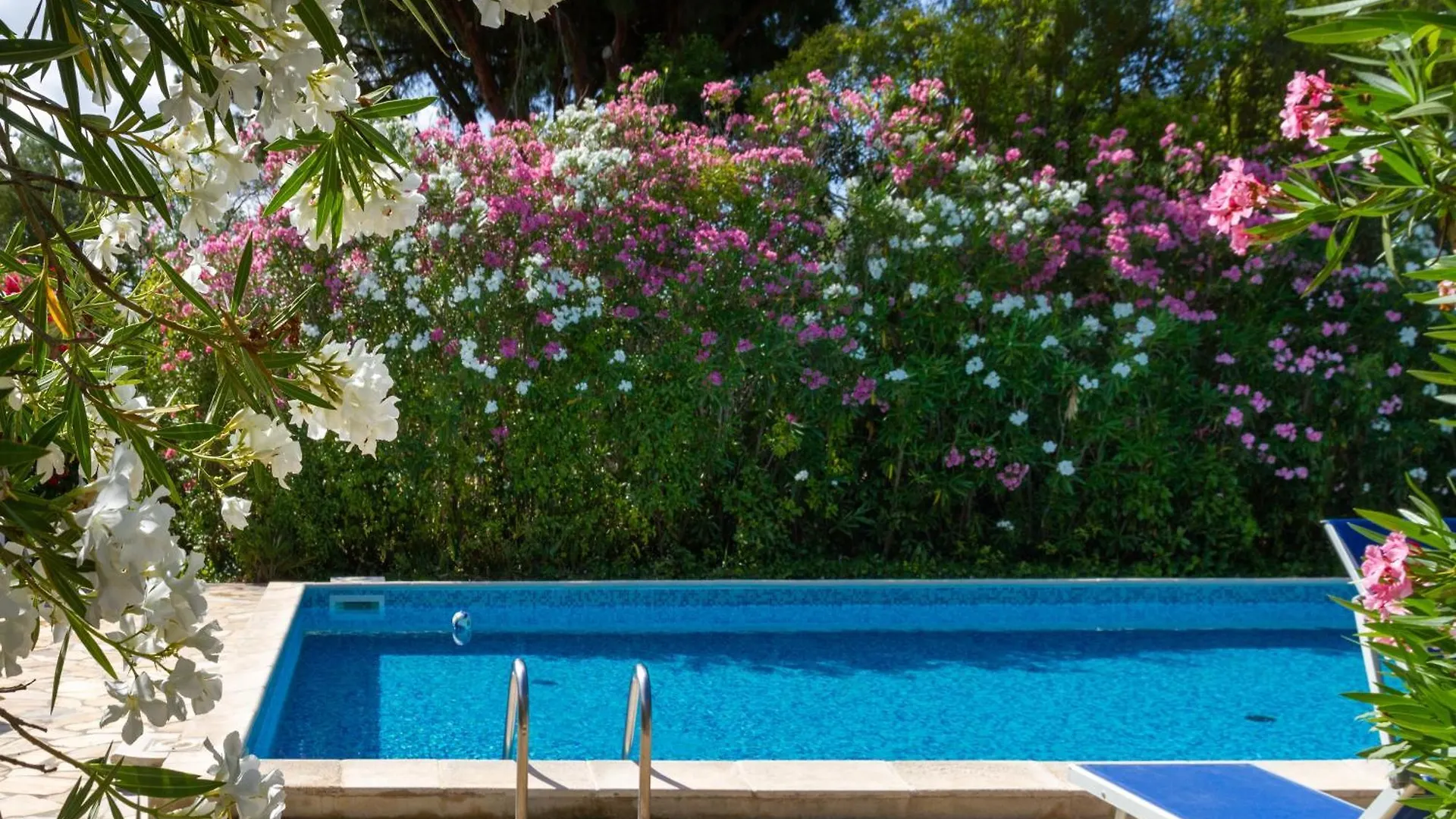 Bilo Hedera Villa Marina di Grosseto Italy