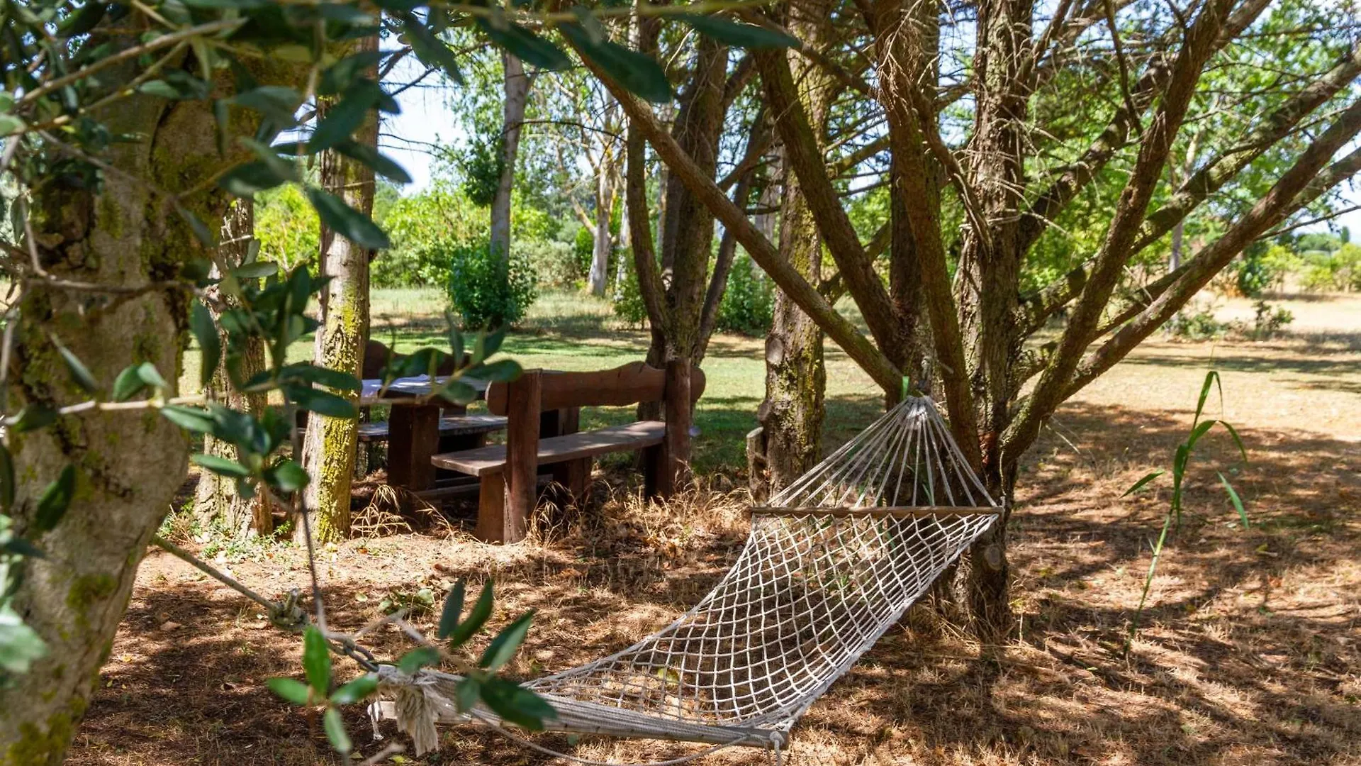 Bilo Hedera Villa Marina di Grosseto Farm stay